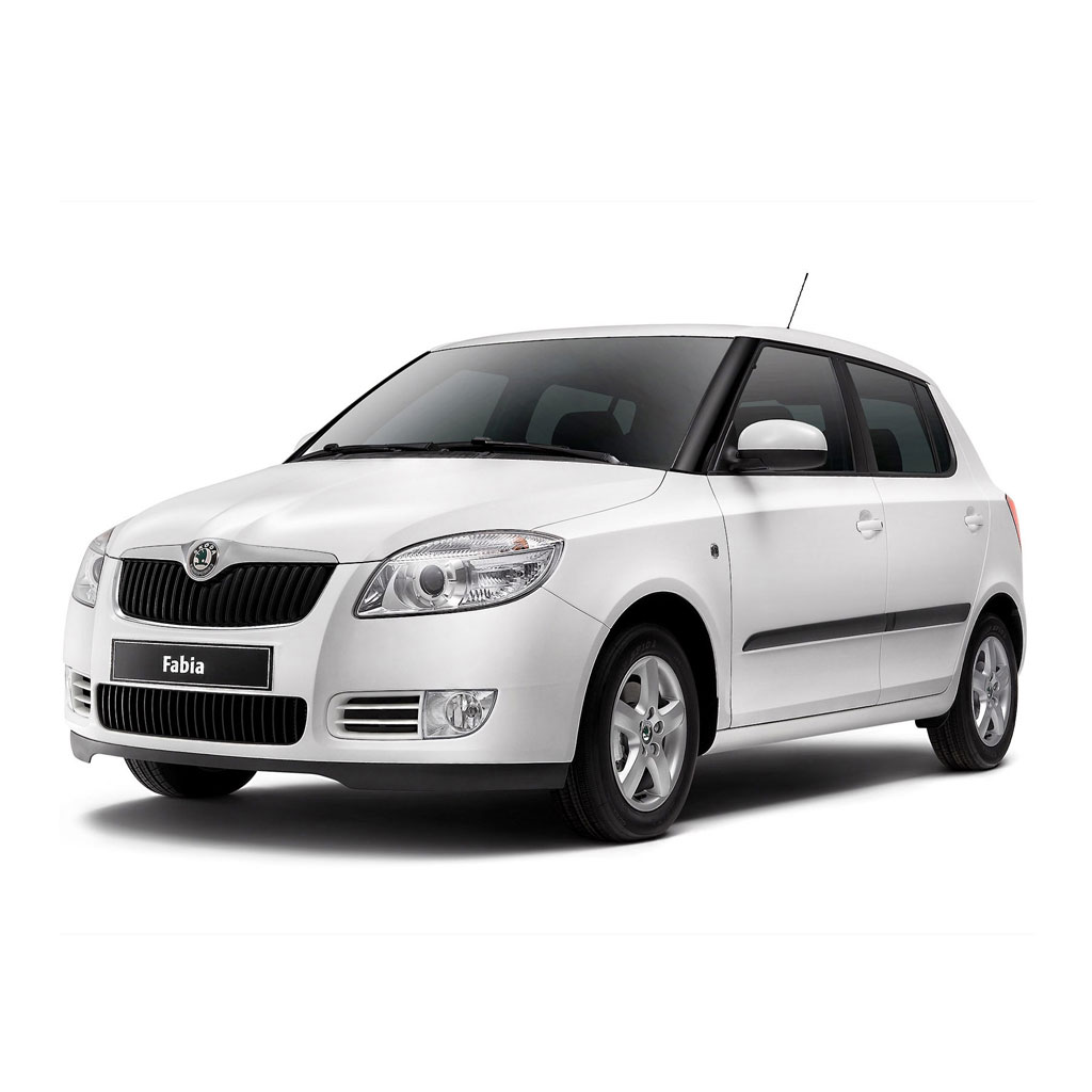 Ремонт Skoda Fabia в Калининграде