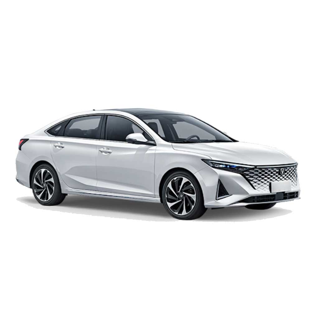 Ремонт Changan Raeton Plus в Калининграде