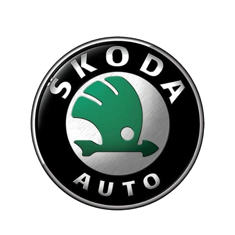 Ремонт автомобилей Skoda