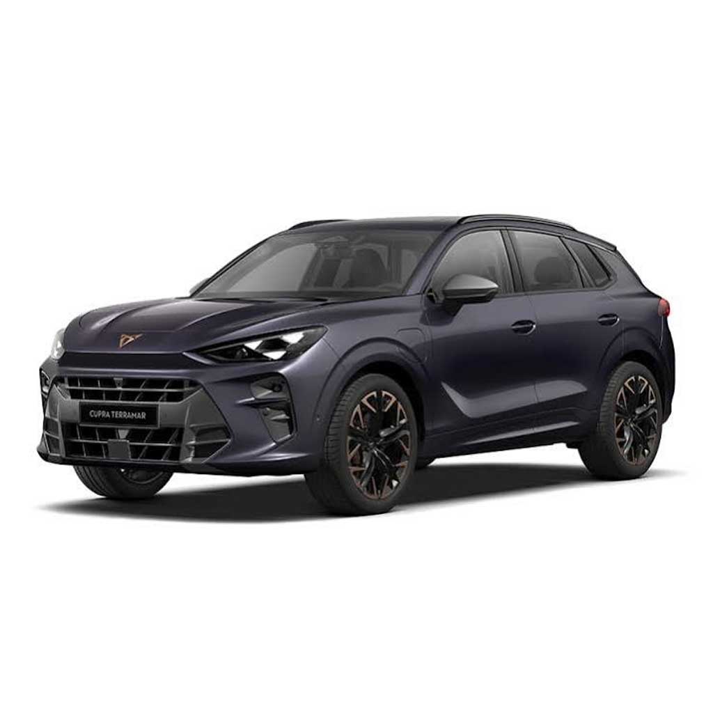 Ремонт Cupra Terramar в Калининграде
