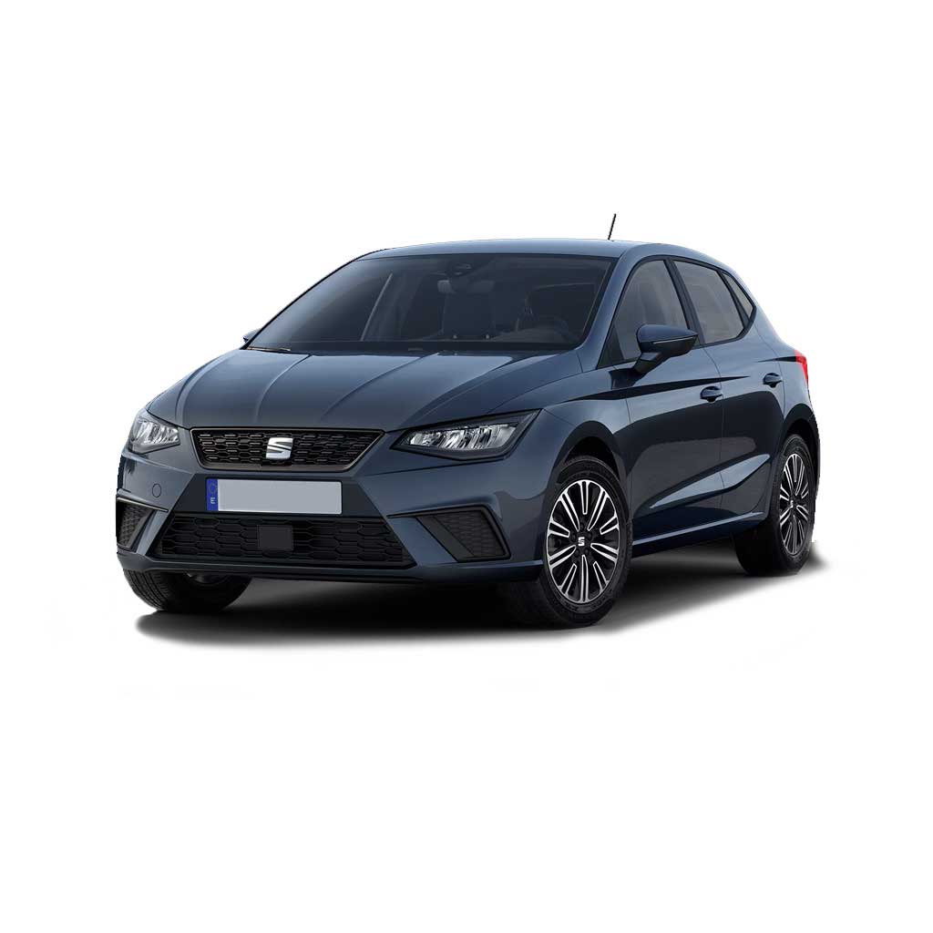 Ремонт Seat Ibiza в Калининграде
