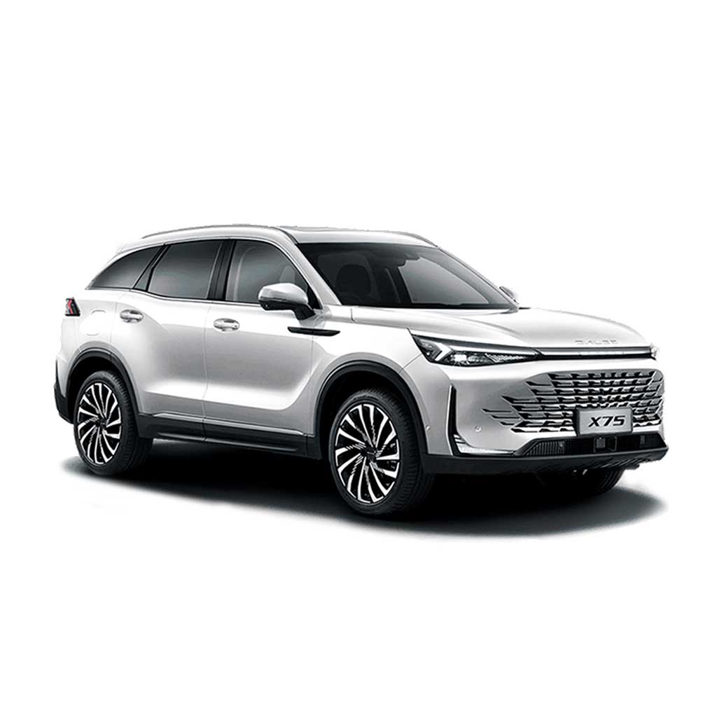 Ремонт BAIC X75 в Калининграде